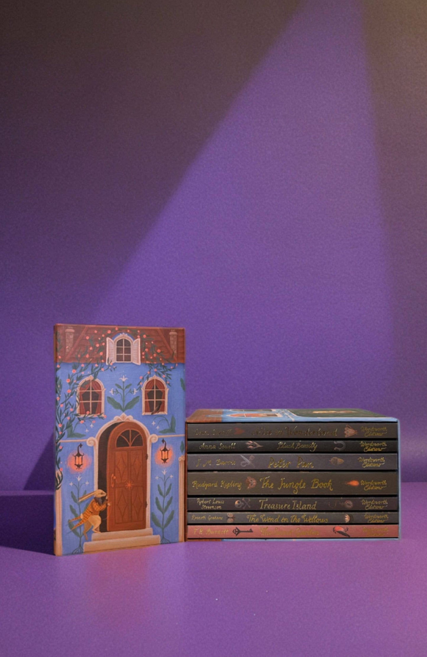 The Children's Classic Collection | Box Set | Book