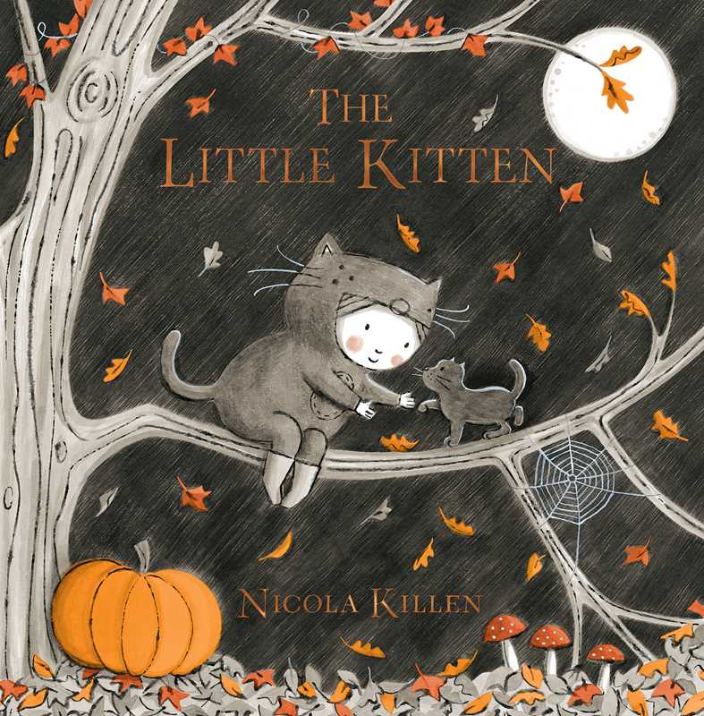 Little Kitten
