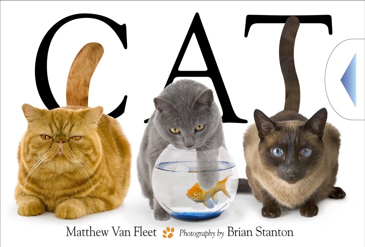 Cat by Matthew Van Fleet: Novelty; 20 pages / English