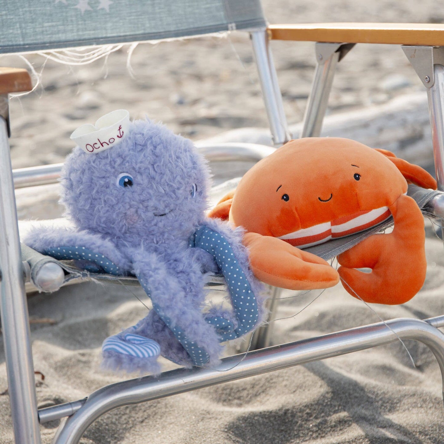 Ocho the Octopus