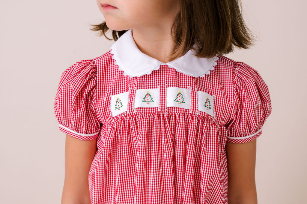 Ruth Ribbon Dress - Red Minigingham