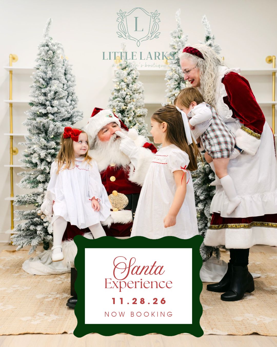 Santa Experience