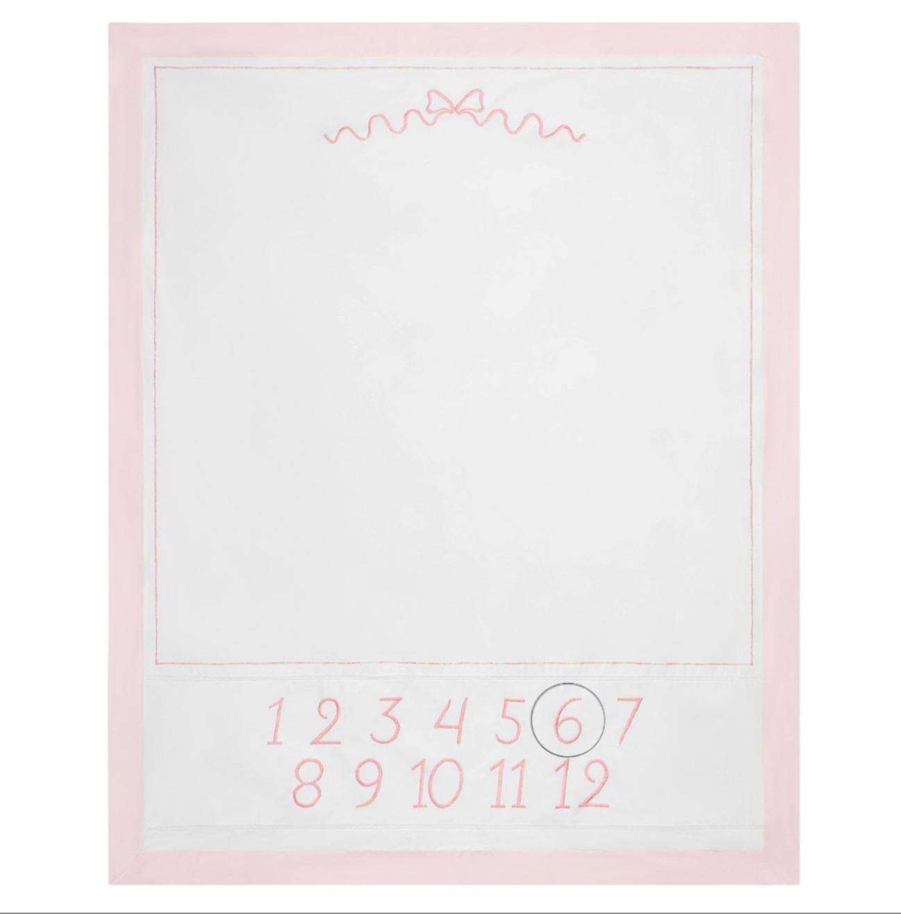 Girls Milestone Blanket