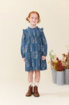 Jaipur Dress- Balsam Dewdrop