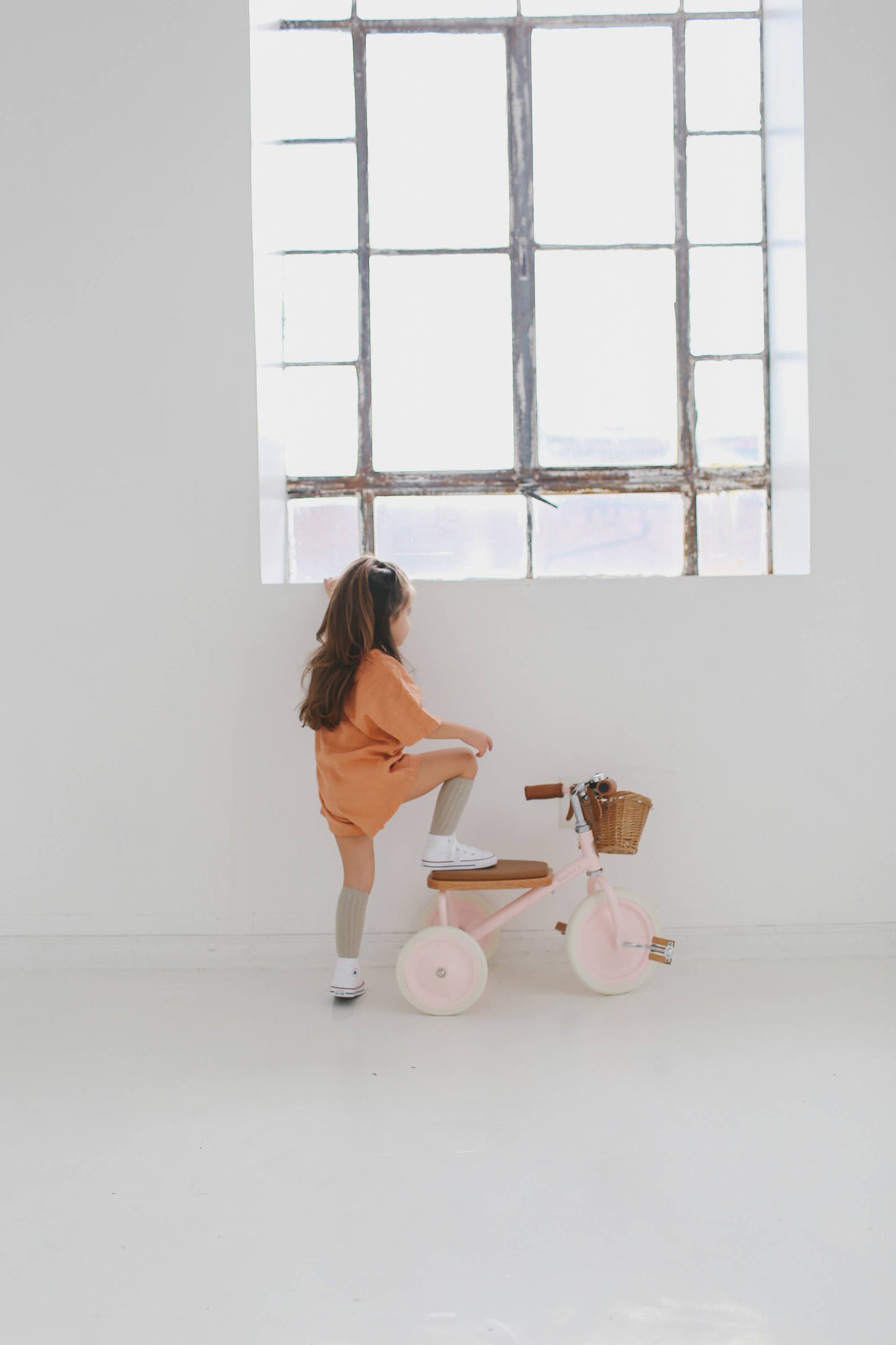 Banwood Trike - Pink