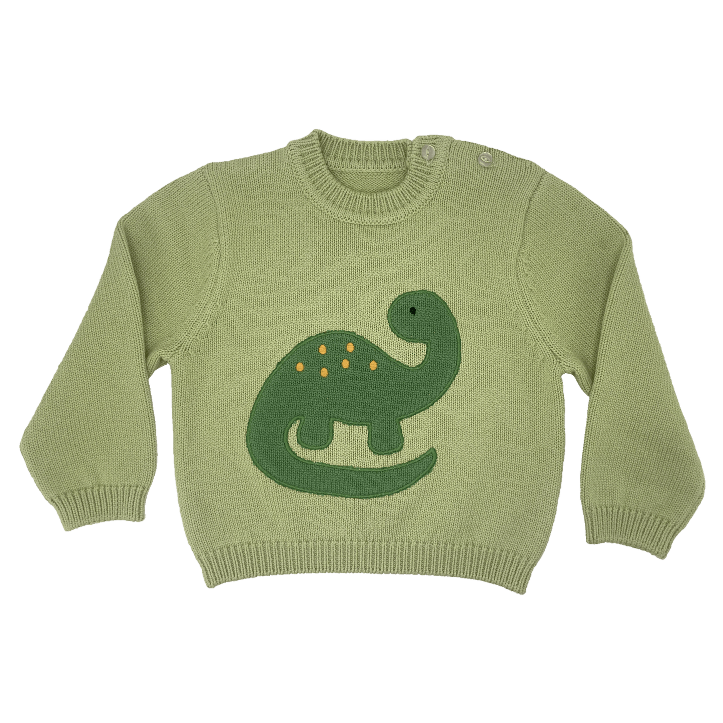 Dinosaur Applique Knit Sweater : 24 Month/2Y