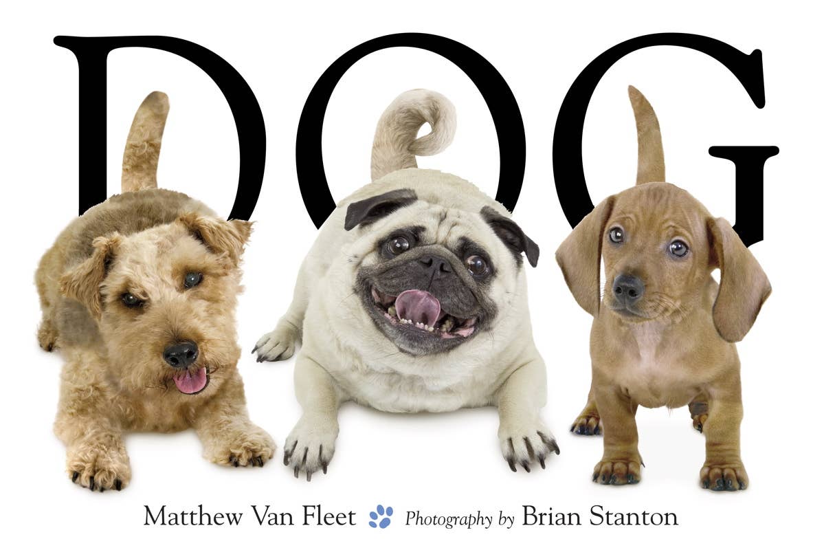 Dog by Matthew Van Fleet: Novelty; 20 pages / English