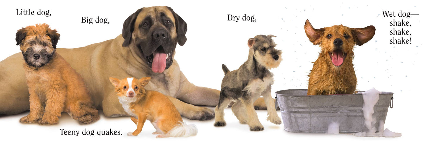 Dog by Matthew Van Fleet: Novelty; 20 pages / English