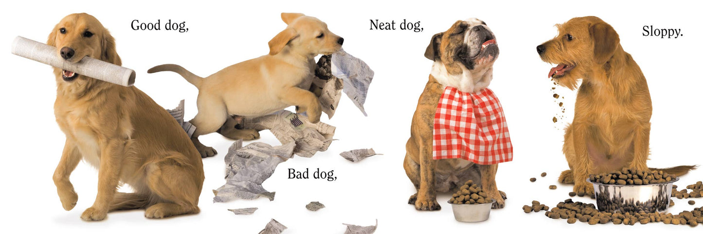 Dog by Matthew Van Fleet: Novelty; 20 pages / English