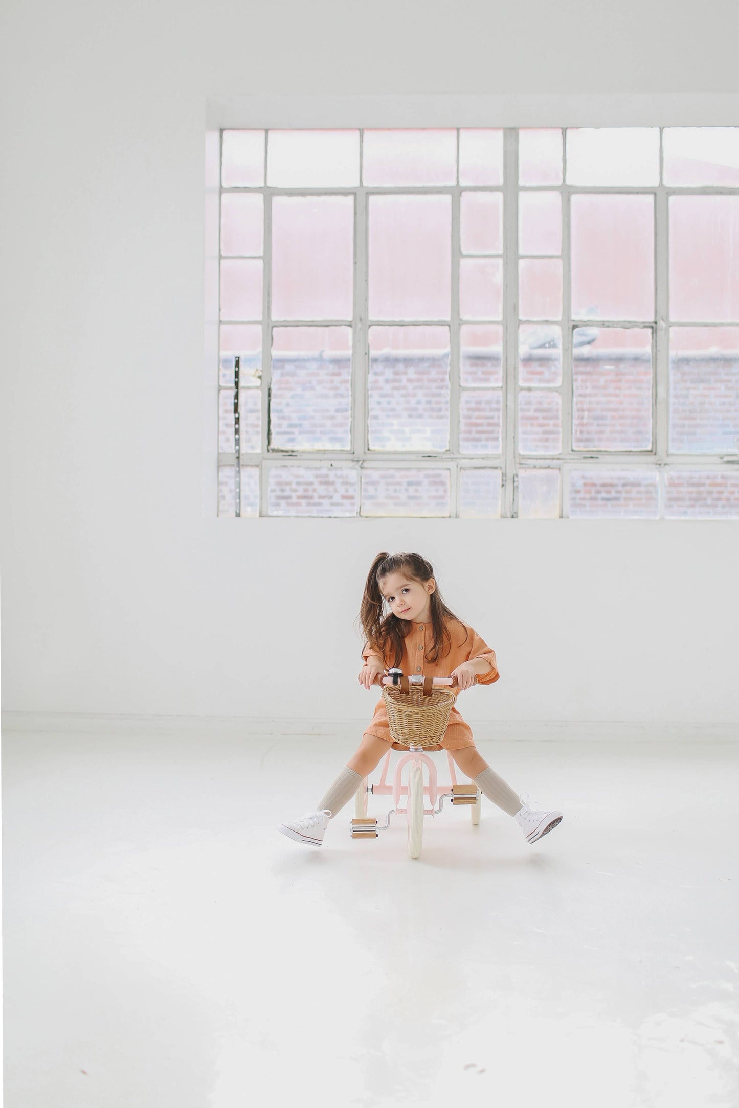 Banwood Trike - Pink