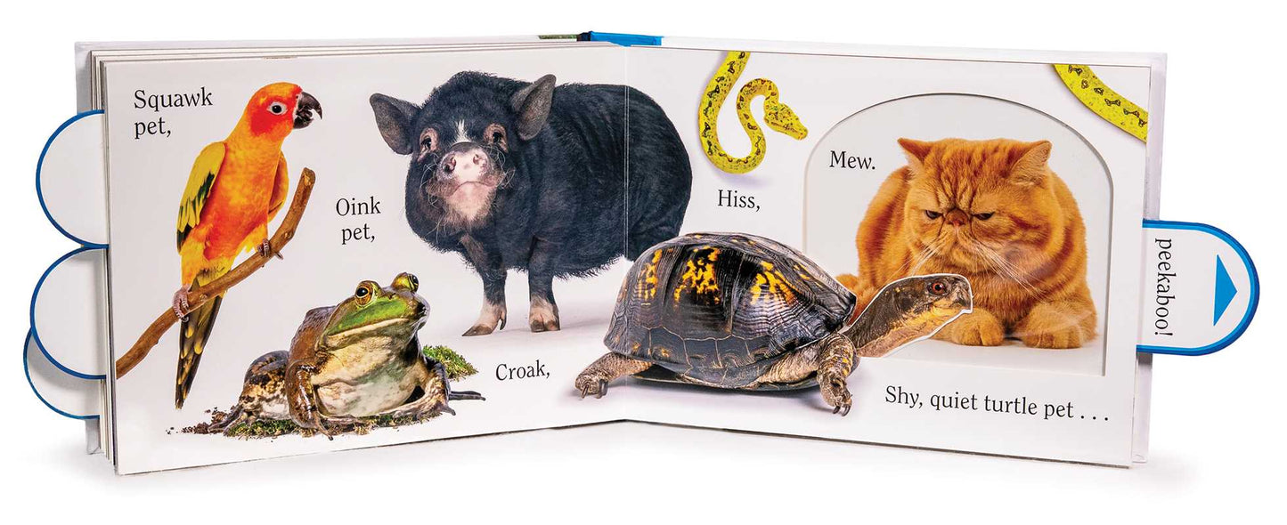 Pet by Matthew Van Fleet: Hardcover; 20 pages / English