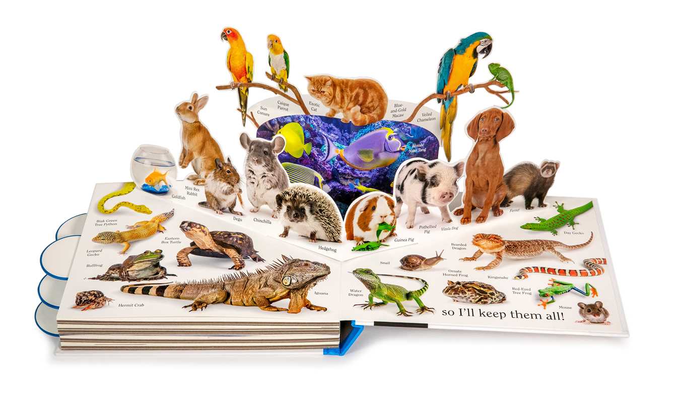 Pet by Matthew Van Fleet: Hardcover; 20 pages / English