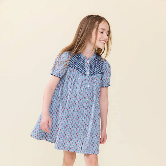 Lucia Dress- Light Blue Carnation