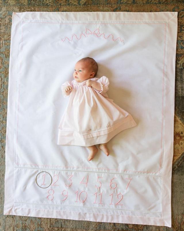 Milestone Blanket- Pink