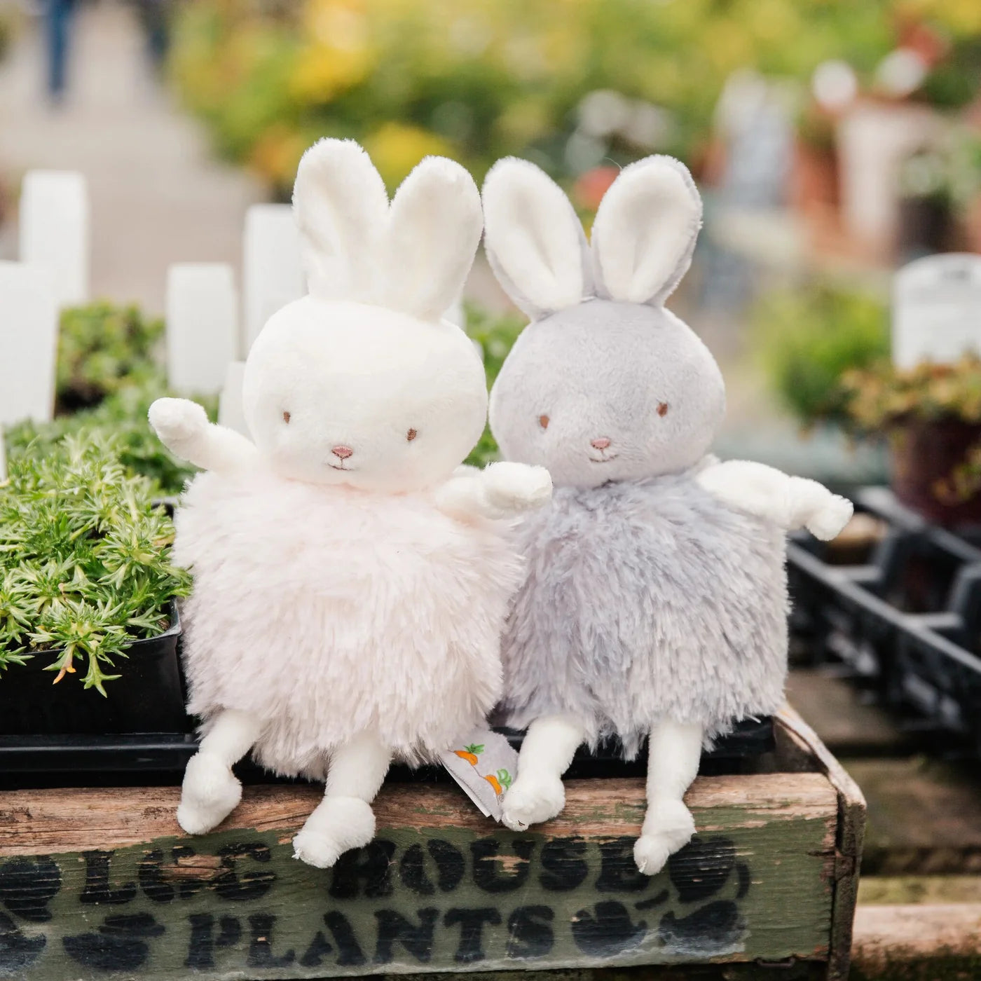 ROLY POLY BLOSSOM- PINK BUNNY