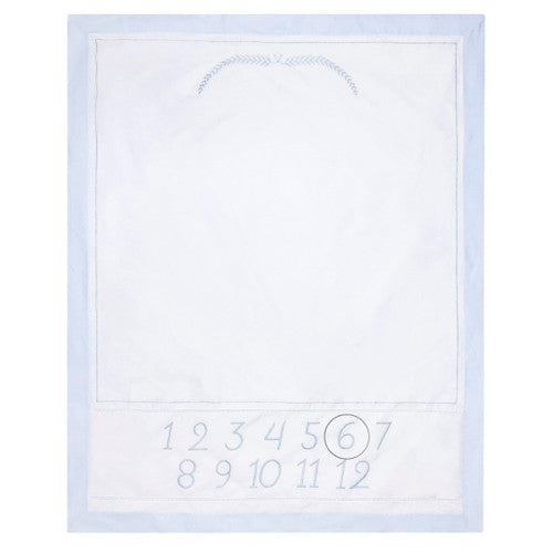 Milestone Blanket- Blue