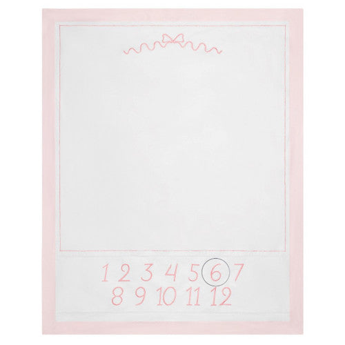 Milestone Blanket- Pink