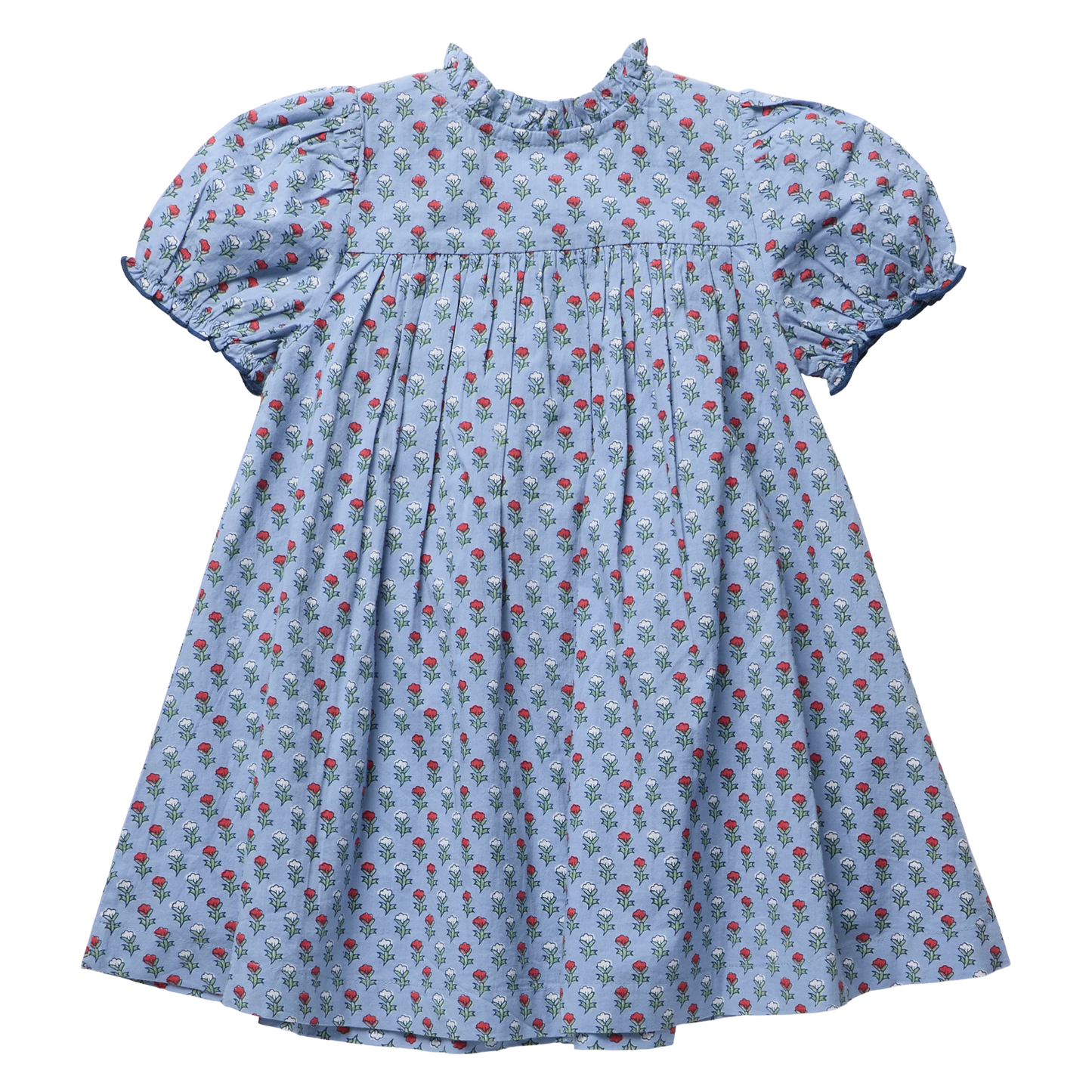 Lucia Dress- Light Blue Carnation