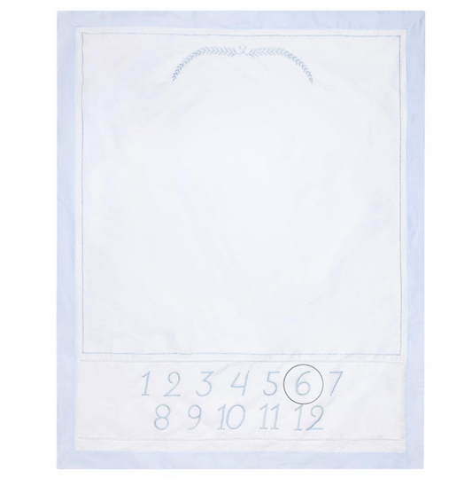 Boys Milestone Blanket