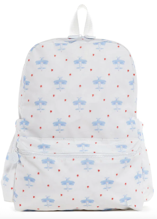 Backpacker - Davids Airplane