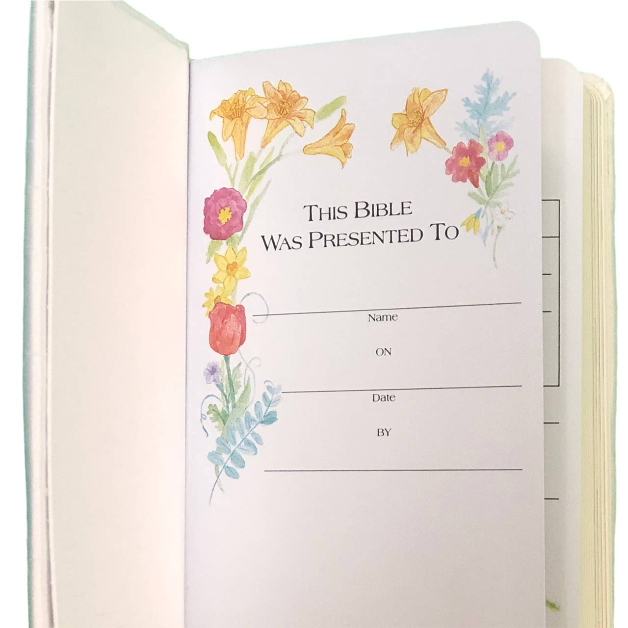 Children’s Bible In Shantung With Cross, Light Beige