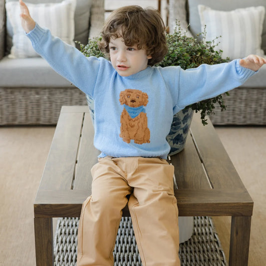Crew Neck Sweater-Doodle On Light Blue
