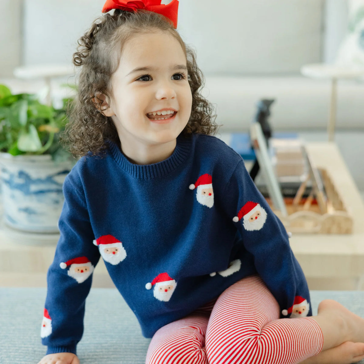 Crew Neck Sweater-Santa Print