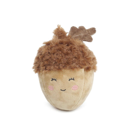 Autumn Acorn